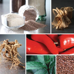 Non-GMO organic herbs illustration
