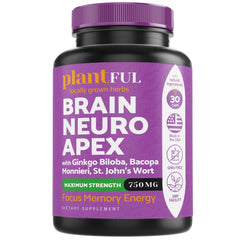 Nootropic brain supplement for focus, energy and memory