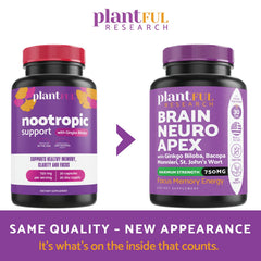 Bottle of nootropic pills for memory and clarity