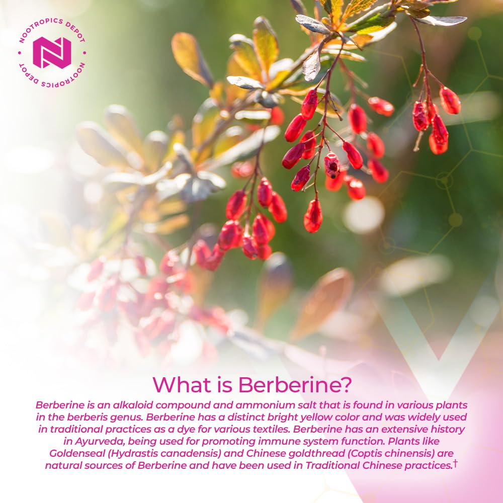 Supplement facts and ingredients panel for Berberine HCL + Silymarin