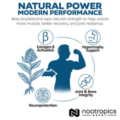 Nootropics Depot brand packaging in green and black design