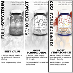 Lifestyle image showing vitality and energy with capsules