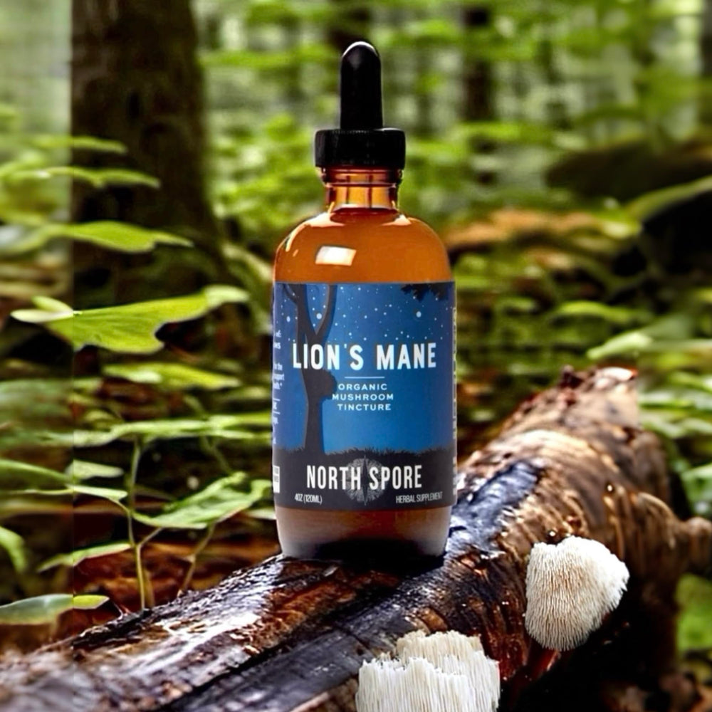Dropper dispensing Lion's Mane tincture