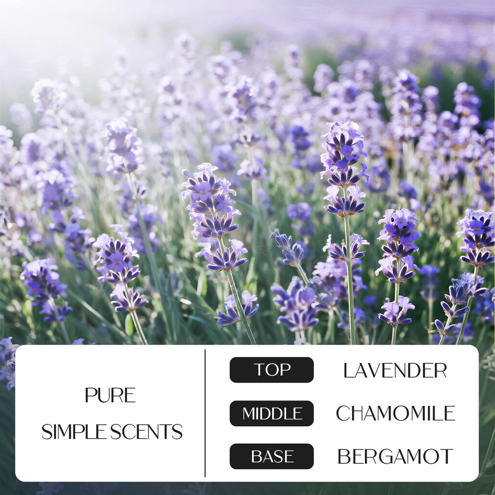 Vanilla, jasmine, and lily fragrance notes for warm aroma