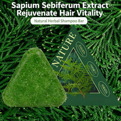 NovaCharm Seven Green triangle shampoo bar delivers lightweight, manageable hair after use.
