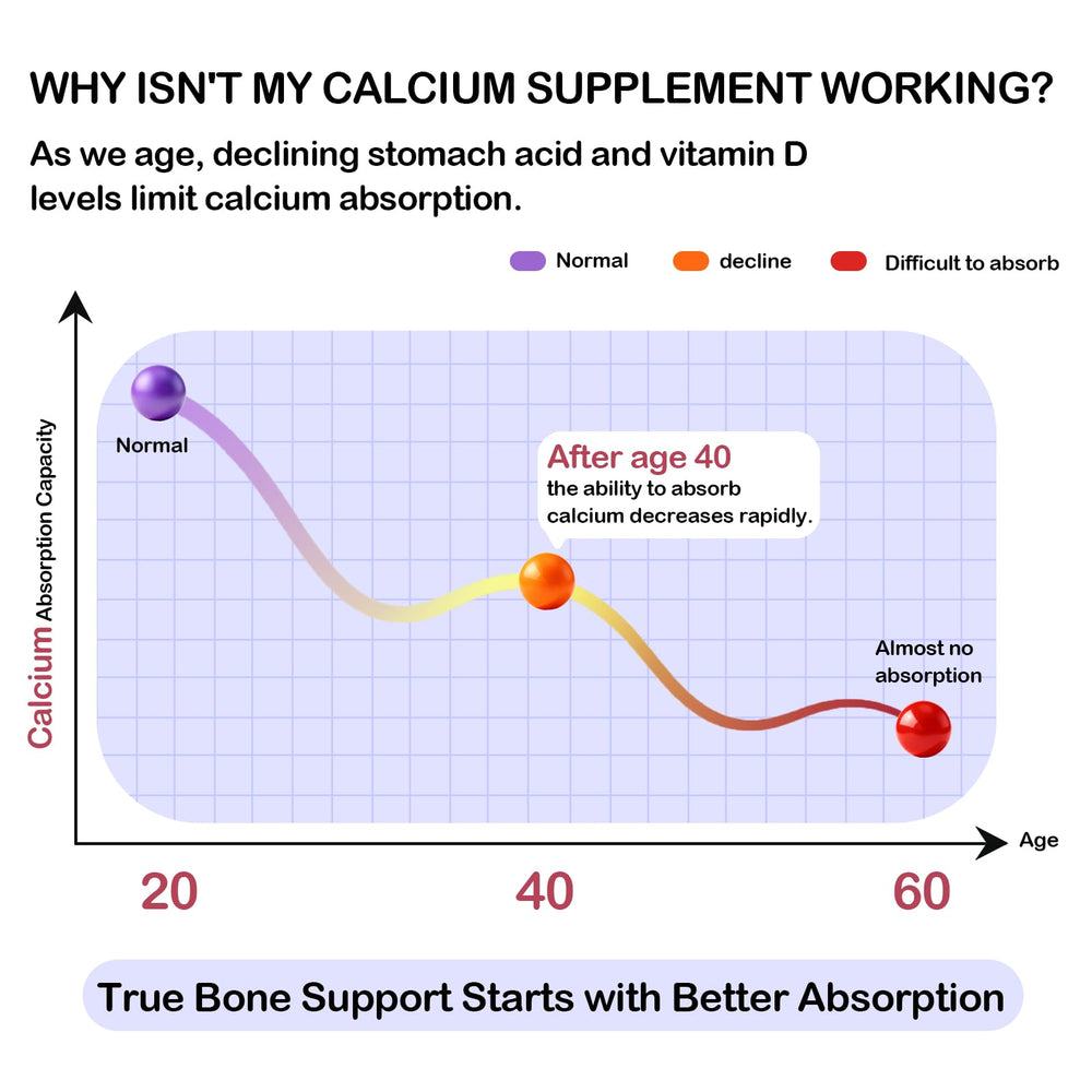 Graphic illustrating enhanced calcium absorption with dicalcium malate, D3, K2 and magnesium