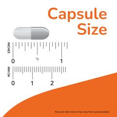 Bromelain capsule shown as a dietary supplement