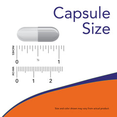 Concept of healthy intestinal flora with capsules for Candida Support