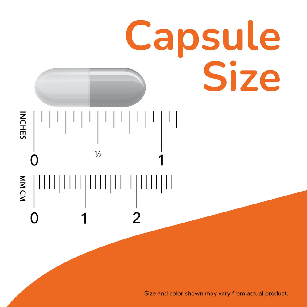NOW Foods Probiotic-10 label close-up shows strain verification seal for trusted potency.