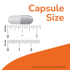 NOW Foods Probiotic-10 label close-up shows strain verification seal for trusted potency.