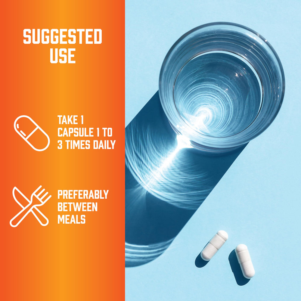 Close-up of NOW Glutamine 1000 mg capsule