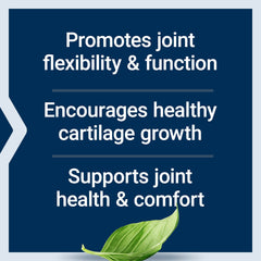 Joint flexibility and comfort with NT2 Collagen