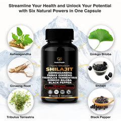 Active lifestyle concept with capsules and wellness icons