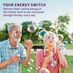 Nervous system and gut health benefits highlighted by the product