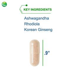 Bottle indicating 60 capsules per bottle