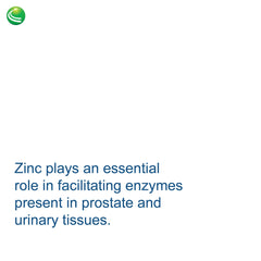 Zinc and beta-sitosterol in BioProstate