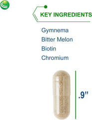 Gymnema leaf ingredient in Diabetone Plus