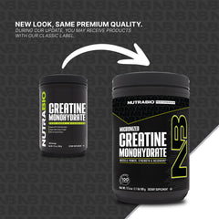 Close-up of micronized creatine powder texture