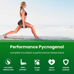 Capsules of Pycnogenol supplement with black pepper for enhanced absorption