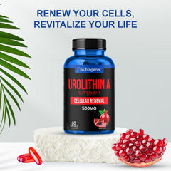 Nutragenis Urolithin A ideal for athletes and active lifestyles.
