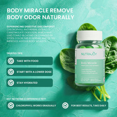 Illustration of wellness with plant-based ingredients