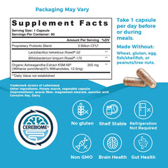 Close-up of Cerebiome probiotic capsules used in the formula