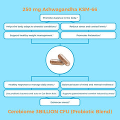 Illustration of brain-gut axis with probiotic capsules