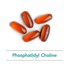 Memory and brain health concept related to phosphatidylcholine