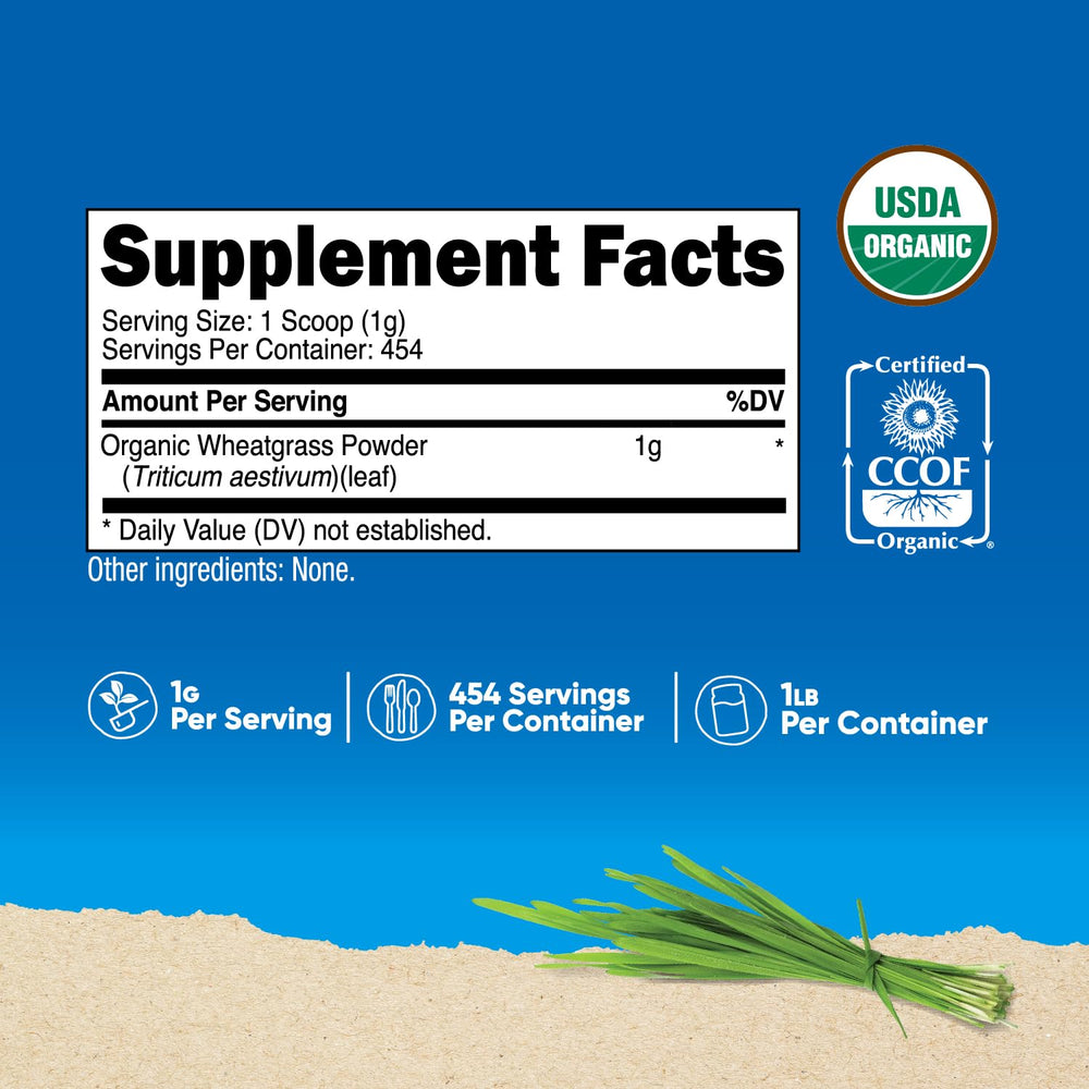 Close-up of Pure Organic Wheatgrass Powder