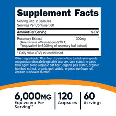 Close-up of rosemary extract capsules representing vegan supplement