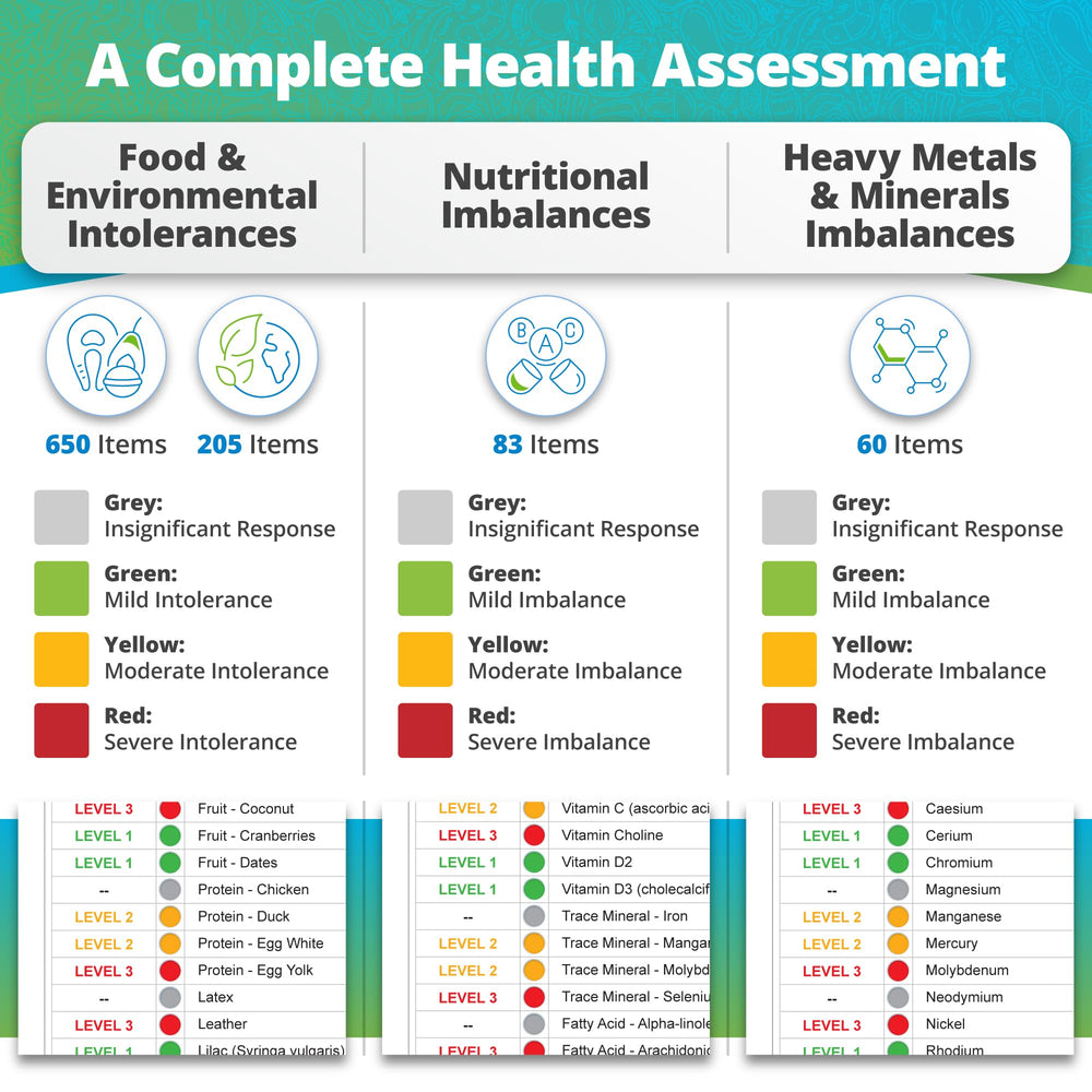 Nutrient absorption overview diagram
