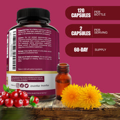 Cranberry extract component image