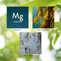 Nutrition facts panel for magnesium supplement