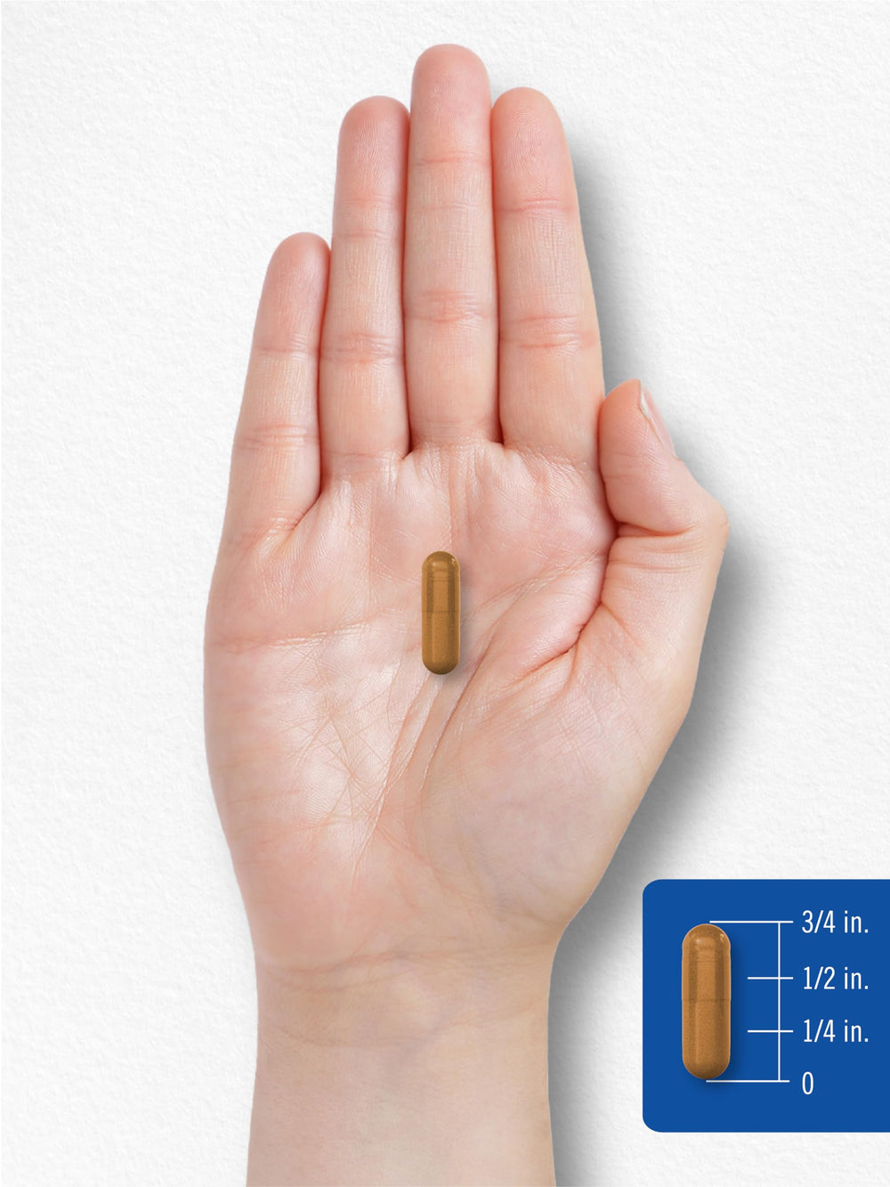 Nutrition facts for Vitamin B-2 400mg supplement