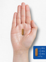 Nutrition facts for Vitamin B-2 400mg supplement