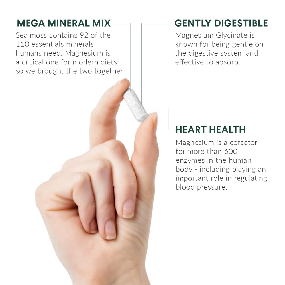 Organic Irish Sea Moss strands used in the formula