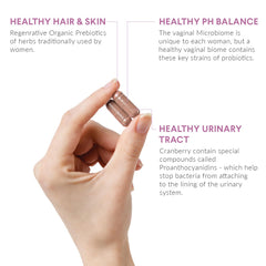 Organic prebiotic blend for gut health illustration