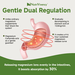 NutriVivency magnesium carbonate ingredients and bioavailability