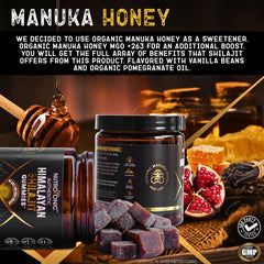 NutroTonic Shilajit Gummies clean formula emphasizing vegan ingredients