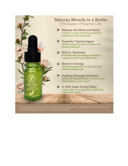 Manuka plant (Leptospermum scoparium) with oil bottle