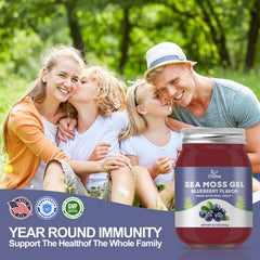 Sea moss gel used in smoothies and desserts