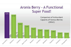 Oats with Aronia Powder for breakfast