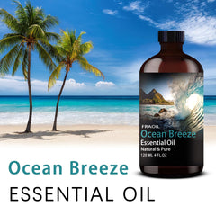 Ocean Breeze Fragrance Oil used in a diffuser