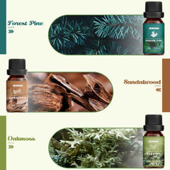 Ocean Breeze fragrance oil bottle
