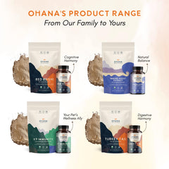 Daily use idea: Ohana Red Reishi powder added to smoothie