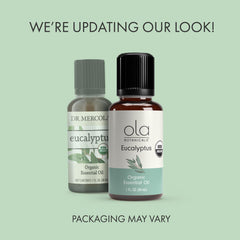 Ola Botanicals Eucalyptus leaves closeup highlighting natural freshness and scent.