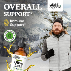 Oleuropein olive leaf immune support