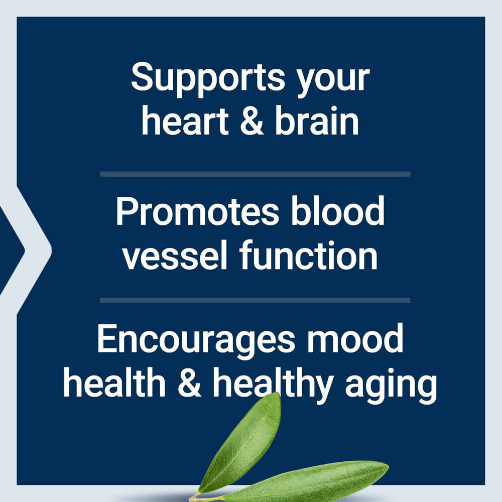Illustration of olive polyphenols representing heart health benefits