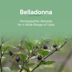 Organic Belladonna 30C single medicine packaging and branding