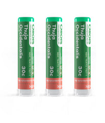 Front view of OLLOIS Thuja Occidentalis 30c pack of 3 with 80 pellets